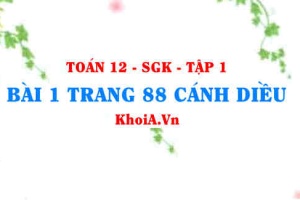 Bài 1 trang 88 Toán 12 tập 1 Cánh Diều